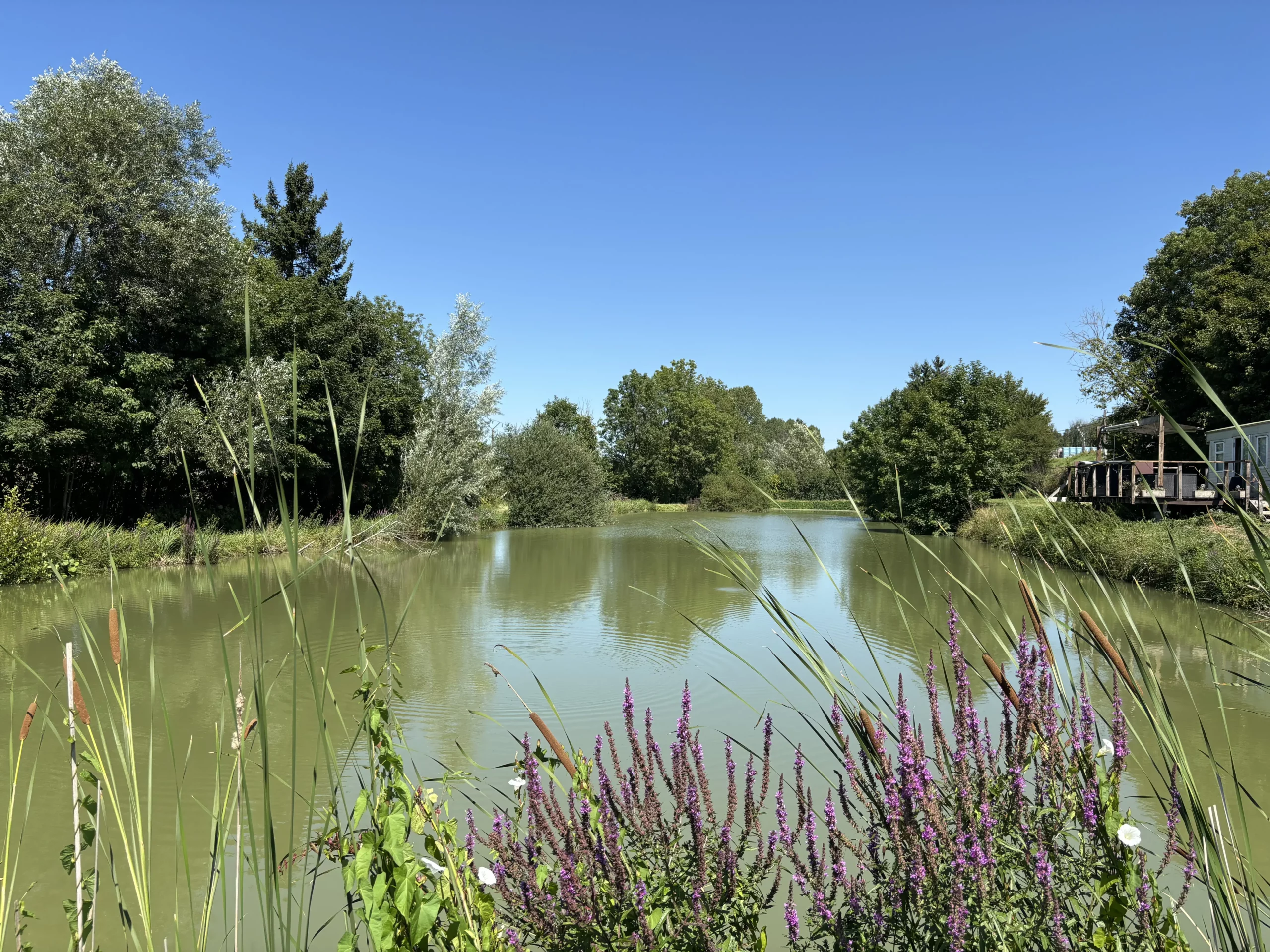 Étang de Blâmont : location d’étang privé avec mobil-home en Lorraine